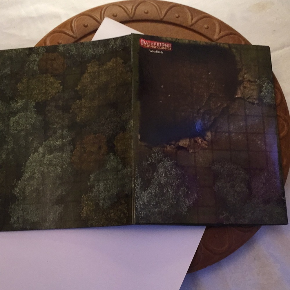 Pathfinder flip-mat classics - Picture 13 of 14